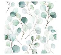 murando Papel Pintado Hojas 10m Fotomurales tejido no tejido rollo Decoración de Pared decorativos Murales XXL moderna de Diseno Fotográfico Blanco Verde Ramas b-B-0568-j-a