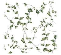murando Papel Pintado Hojas 10m Fotomurales tejido no tejido rollo Decoración de Pared decorativos Murales XXL moderna de Diseno Fotográfico Hiedra Blanco Verde b-B-0562-j-a