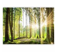 murando PREMIUM Fotomurales Bosque 3D 350x256 cm Papel pintado tejido no tejido Decoración de Pared decorativos Murales moderna de Diseno Fotográfico Pasillo Oficina Paisaje Naturaleza c-B-0098-a-b