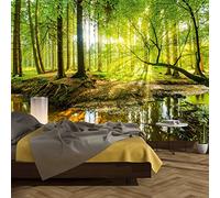 murimage Papel Pintado Bosque 366 x 254 cm Incluyendo Pegamento Fotomurales Vista 3D Madera árboles luz del Sol Sala Living Oficina Dormitorio