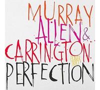 Murray Allen & Carrington Power Trio - Perfection