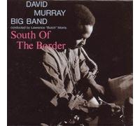 David Murray - South of the Border