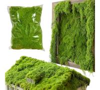 Muschio Artificiale Per Piante Da Interno, 300g Decorazione Verde Realistica | Muschio Decorativo Vasi E Terrari | Rifinitura Per Pareti Verdi, Giardini Verticali E Composizioni Floreali