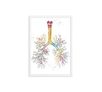 Músculos de anatomía humana Sistema Arte pared Carteles pintura y estampados Mapa cuerpo Imágenes Educación médica Decoración del hogar(Picture 3,13x18cm No Frame)