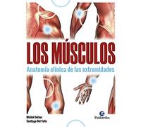 Músculos, Los. Anatomía clínica de las extremidades (Medicina)
