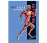 Musculos (maxi Atlas 3)