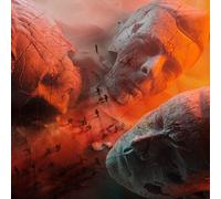 Muse Will of the People (Vinyl) 12" Album