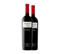 Museum Tempranillo Cigales Reserva Botella Magnum 1,5 L Vino tinto (Caja de 2 Botella Magnum de 1,5 L)