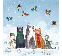 Museums & Galleries Tarjetas de Navidad benéficas, paquete de 8, gatos y pájaros en la nieve