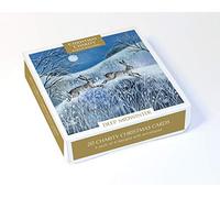 Museums & Galleries - Tarjetas de Navidad benéficas (XETC221) - Paquete de 20 unidades, modelo Deep Midwinter