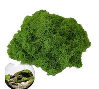 Musgo Artificial 100g (Pack de 2) - Musgo Vegetal Decorativo Realista - Terrarios, Arreglos Florales, Jardines de Hadas y Decoración - No se Decolora, Textura Suave - Liquen Artificial Verde Oscuro