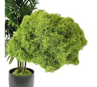 Musgo Artificial 100g (Pack de 2) - Musgo Vegetal Decorativo Realista - Terrarios, Arreglos Florales, Jardines de Hadas y Decoración - No se Decolora, Textura Suave - Liquen Artificial Verde Oscuro
