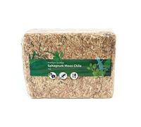 Musgo de esfagno (Chile, 1000 g)