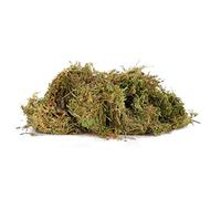 Musgo de Terrario, Musgo Sphagnum, Decoración de Sustrato, Suministros para Reptiles, Musgo de Terrario para Reptiles, Musgo Verde para Reptiles, para Leopardo, Gecko, Rana,