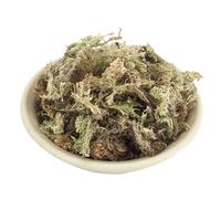 Musgo Esfagno Natural Orquídeas Retenedor Humedad Sustrato Mejora Permeabilidad Ideal Trasplante Orquídeas Suculentas Terrarios Uso Sola O Mezclada Larga Duración Sin Pudrir