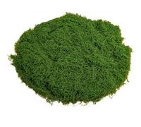 Musgo Falso Musgo De Terrario 50 G De Musgo Artificial De Plástico Aspecto Realista Musgo Sintético Plantas De Líquenes Verdes Falsas Naturales para Macetas Manualidades Jardín Verde Oscuro