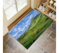 Musgo Islandia Alfombra de Recibidor - Realismo Natural Resistente y Antideslizante Felpudo - 50 x 80 cm