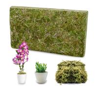 Musgo Sphagnum Puro 200g, Sustrato Premium para Orquídeas como Phalaenopsis, Musgo para Terrarios Reptiles Tortugas como Sustrato Húmedo, Material Natural para Bonsáis Decoración y Manualidades
