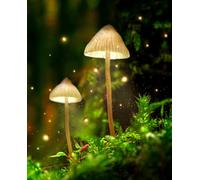 Mushroom gratitude journal: enchanting fantasy forest 6x7 lined notebook (120 colored pages)/smaller size makes it perfect to take with you