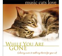 Music Cats Love: While You Are Gone