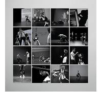 Music For Falling From Trees (Vinyl) Peter Broderick (Importación USA)