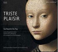 Musique A La Cour De Bourgogne