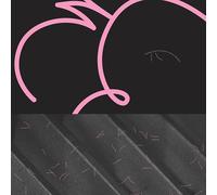 Musique pour Structures Sonores Baschet [Vinilo]