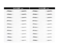 MUSISALY 2 hojas Calcomanías Impermeables para Cejas Hombre Adhesivos Simulación Pelo Natural Parche Artificial para Cejas sin Vello Fácil Aplicación y Moldeado Personalizado