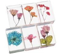 MUSISALY de Pisapapeles Varios estilos 6 Piezas Flores Secas de Resina de Ámbar Diseño Rectangular Portátil y Creativa para Obsequio y Educación Varios estilos