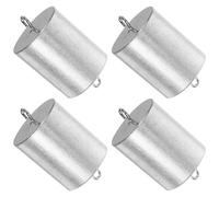 MUSISALY Pesas de Calibración Metálicas 200 Gancho 4 Piezas para Báscula Digital, Kit de Masas Precisas para Experimentos Científicos y Físicos en Laboratorio Educativo