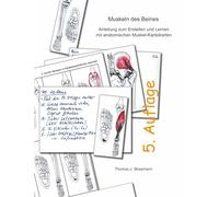 Muskeln des Beines: Anleitung zum Erstellen und Lernen mit anatomischen Muskel-Karteikarten