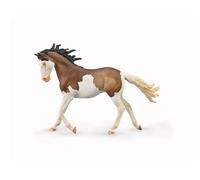 Mustang Mare - Bay Splash Overo