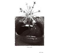 Mute Swan - Skin Slip - Purple [Vinilo]