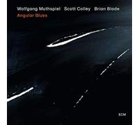 Muthspiel,Wolfgang - angular Blues