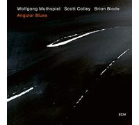 Wolfgang Muthspiel w/Scott Colley, Brian Blade - Angular Blues [Vinilo]