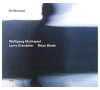 Muthspiel,Wolfgang - Driftwood