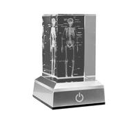 Muuoeou Figuras De Cubos De Cristal Con Esqueleto Humano Grabados Con En 3D, Obsequios De MéDica, Pisapapeles Con Modelo AnatóMico De ÓRganos B