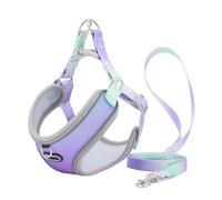 Muuoeou Juego de ArnéS y Correa para Gatos a Prueba de Escapes, ArnéS de Ajustable para Perros, Chaleco, Correa para Caminar para Mascotas y Cachorros (A), S