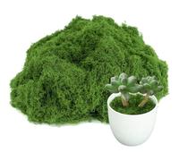 Muuookka Artificial para Plantas de Interior, para Macetas, Jardines de Hadas, Maquetas, Recipientes de Vidrio, Decoración del Hogar, 3.5 Oz