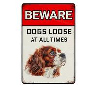 MUYIASER Letrero de advertencia con texto en inglés "Beware Of Dogs Loose At All Time" Cavalier King Charles Spaniel, letrero de metal para exteriores, letrero de advertencia para valla y decoración