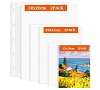 Muyohix Lienzos para Pintar, 6 Piezas Algodón Blanco Preimprimado 30x20, 20x15, 15x10 cm Set Lienzos para Pintar 100% Algodón, para Pintura Acrilica, Oleo, Gouache y Acuarela