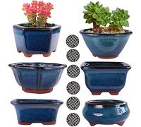 MUZHI Yixing Zisha - Juego de 6 macetas esmaltadas para bonsái de 3 Pulgadas y 4 Pulgadas, macetas pequeñas para suculentas, macetas Decorativas para Entrenamiento de bonsái o Flores pequeñas para