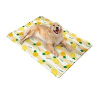 muzoira Alfombrilla de refrigeración para mascotas para perros y gatos - Cama con almohadilla de hielo de verano con bolsa de hielo de gel para dormir en climas cálidos (piña dulce, 50 x 70 cm)