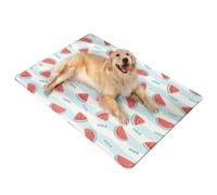 muzoira Alfombrilla de refrigeración para mascotas para perros y gatos - Cama con almohadilla de hielo de verano con bolsa de hielo de gel para dormir en climas cálidos (sandía fría, 50 x 70 cm)