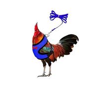 Muzoira Arnés de nailon ajustable para aves de corral y mascotas pequeñas, cómoda cuerda de tracción transpirable para pollo, pato, ganso, gato y perro (S, azul)