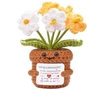 Mwmoeen Flor positiva Pequeño regalo de agradecimiento, planta de punto, amuleto de la suerte, regalo de bolsillo, abrazador de bolsillo, soporte emocional alemán, flores, mejor amiga, regalos para el