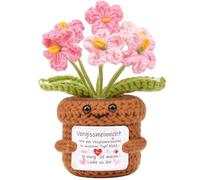 Mwmoeen Flor positiva Pequeño regalo de agradecimiento, planta de punto, amuleto de la suerte, regalo de bolsillo, abrazador de bolsillo, soporte emocional alemán, flores, mejor amiga, regalos para el