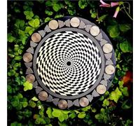 MWO Polarizing Disk, MWO Disk EMFS Polarizing Disk, Multi-Wave Oscillator Coil, 0.06" Thickness, Φ12.8cm Energy Color, Water Energization & Harmonic Balancing, For Meditation(A)