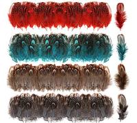 MWOOT 200 Piezas Plumas Decorativas Manualidades, Plumas Pequeñas Colores para Bricolaje Atrapasueños Pascua de Resurrección Corona de Navidad Carnaval Boda Decoración, Plumas Azul Rojo Marrón Gris