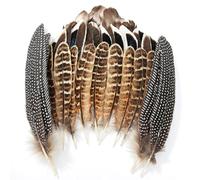 MWOOT 40 Piezas Plumas Naturales, 4 Estilos Plumas de Cola de Faisán Plumas de Pato para DIY Manualidades, Plumas Decorativas para Mascarada de Carnaval Boda Fiesta